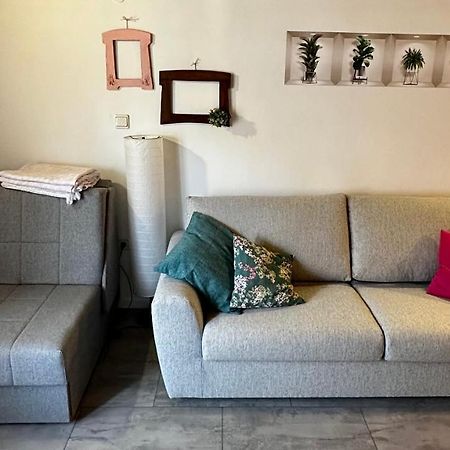 Lara Deluxe Superior 5 Star Apartment, Your Piece Of Heaven By The Sea & Park Novigrad Istria Exteriör bild