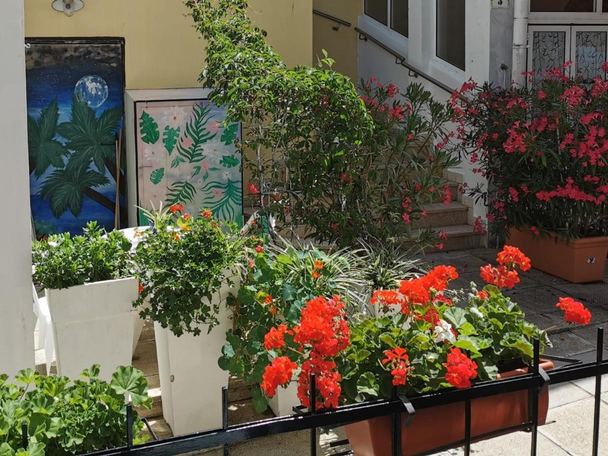 Lara Deluxe Superior 5 Star Apartment, Your Piece Of Heaven By The Sea & Park Novigrad Istria Exteriör bild